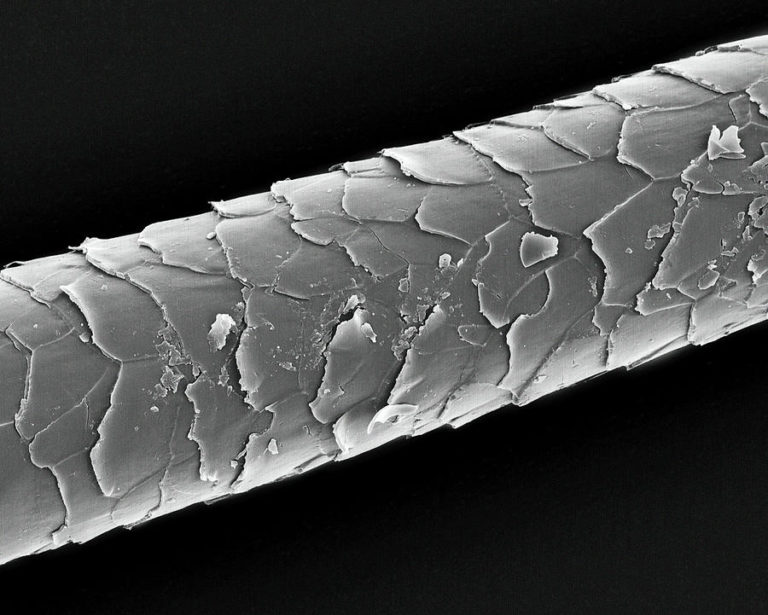 Cuticles Best Hair Beauty Salon ArtNoise Blog