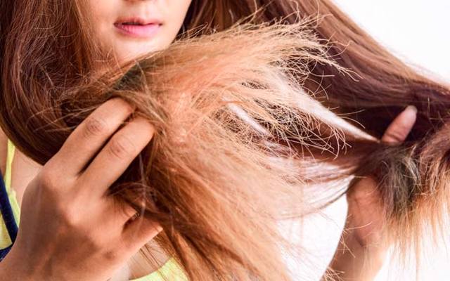 How to improve dry hair condition | Best Hair Beauty Salon Art-Noise Blog