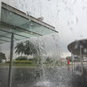 シンガポールの気候とヘアー