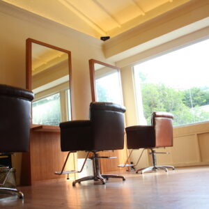 シンガポールへアサロン